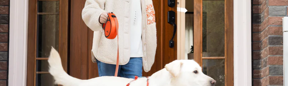How to Create a Pet-Friendly Home: A Complete Guide for Pet Owners