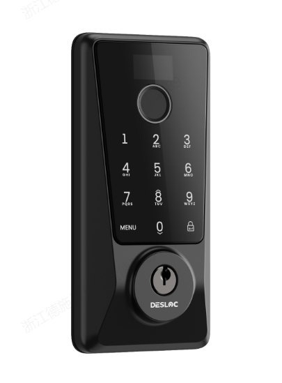 D110 Plus with Lever Set Smart Lock, Keyless Entry Door Lock