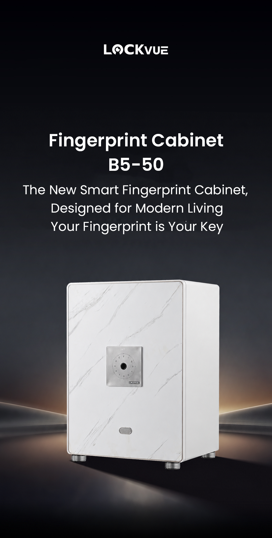 Lockvue Fingerprint Cabinet B5-60