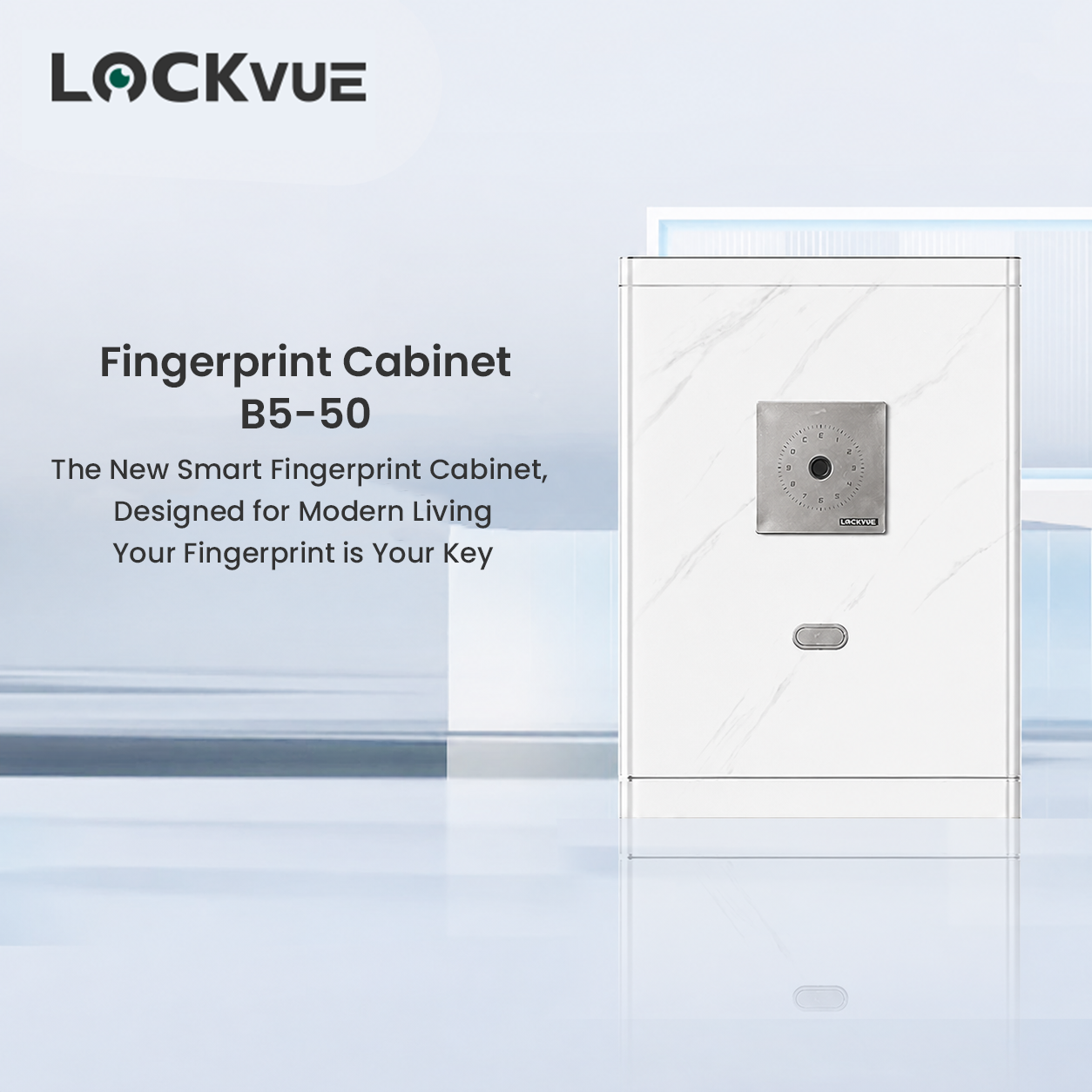 Lockvue Fingerprint Cabinet B5-60