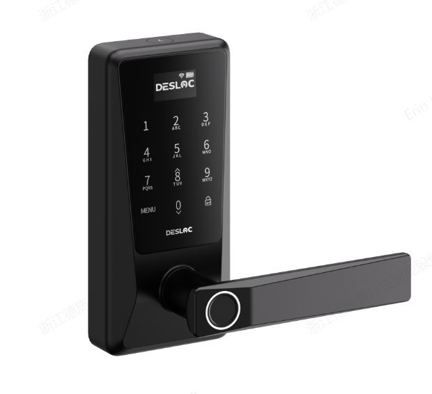 D120L Plus Smart Lock, Keyless Entry Door Lock